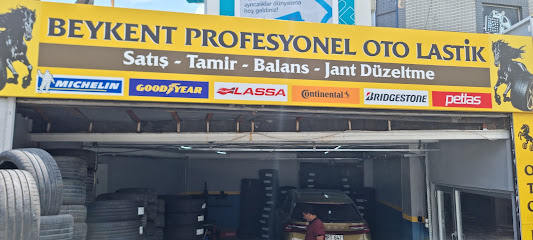 beykent profesyonel oto lastik — business image